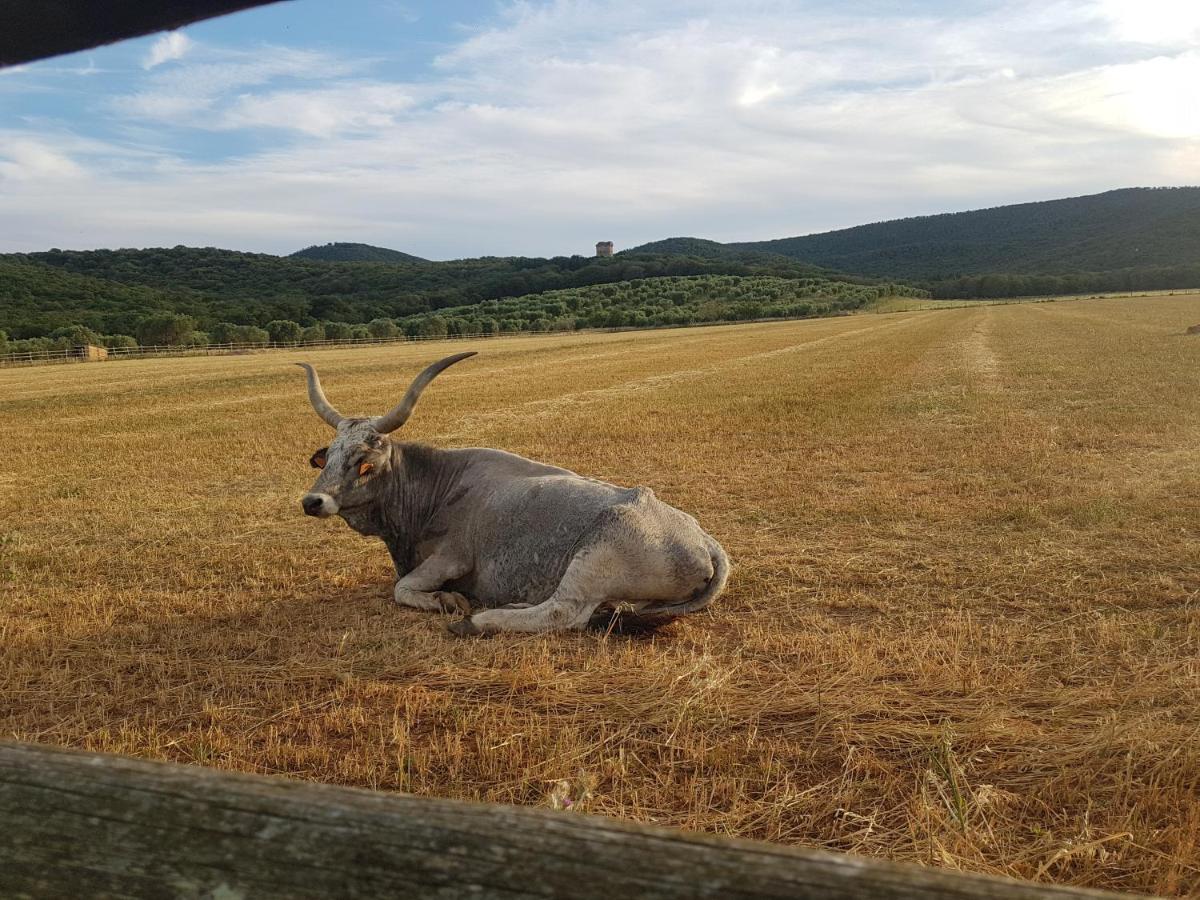 Tenuta Agricola Dell'Uccellina Talamone Dış mekan fotoğraf