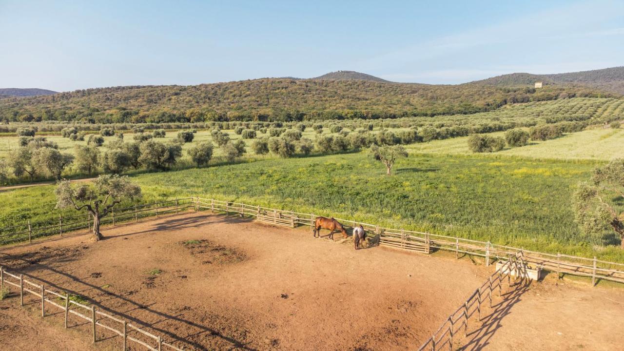 Tenuta Agricola Dell'Uccellina Talamone Dış mekan fotoğraf